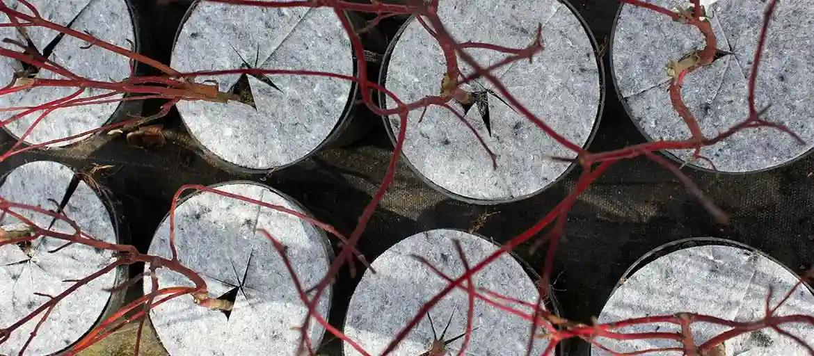 Protección contra malas hierbas